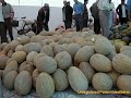 Güzel Türkistan Güzel Türkistan sana ne oldu? Seher vaktinde gã¼llerin soldu, Ã‡emenler solmuåÿ kuåÿlar hem feryat Hepsi mahzun, olmaz mä± dil åÿad? Bilmem niã§in kuåÿlar uã§maz bahã§elerinde birliäÿimizin sarsä±lmaz daäÿä± Ãœmidimizin sã¶nmez Ã§eraäÿä± birleåÿ ey halkä±m, gelmiåÿtir Ã§aäÿä±, Bezensin åÿimdi tã¼rkistan baäÿä±. Davran halkä±m artä±k yeter bunca cevr Ã¼ cefalar bayraäÿä±nä± al, kalbin uyansä±n, Kulluk, esaret kamilen yansä±n, Kur yeni devlet dã¼åÿman irkilsin yã¼ce tã¼rkistan gã¶klere deäÿsin Kendi Ã¶z vatanä±nä±n gã¼l bahã§elerinde...