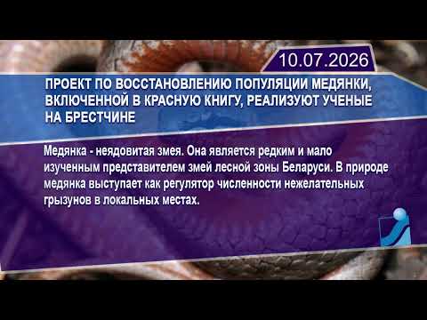 Новостная лента Телеканала Интекс 10.07.26.