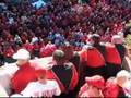 georgia bulldogs, uga, georgia tech, dawg walk