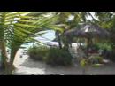 Palm Tree TV from St John Virgin Islands with the O'Connells