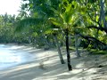 Playa Bonita 2007