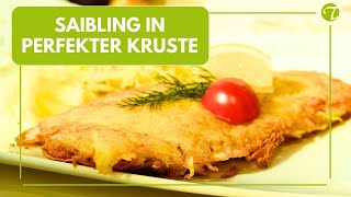 Siebenbrunner Bachsaibling in Kartoffelkruste auf Rahmwirsing Siebenbrunner Bachsaibling in Kartoffelkruste auf Rahmwirsing