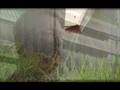 videos de Reflektor Roof Coatings