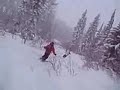 Ski Steamboat open trees Ski Steamboat open trees