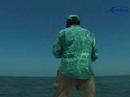 Permit fishing with Avalon