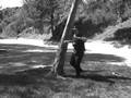 videos de Tube write: Stranded