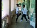 Crew Gila Shuffle Crew Gila Shuffle