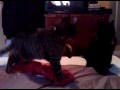 VID 00010 20091209 1434