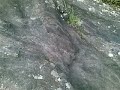 Nas pedras de Peruibe