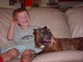 Breed Specific Legislation is WRONG!
