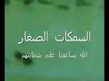 حالة ولادة