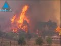 en gr�ce, les incendies font toujours rage. on s'attend � ce que le nombre de victimes soit plus �lev� que le nombre officiel. la ville d'olympie n'a pas �t� �pargn�e par les flammes. des sapeurs-pompiers isra�liens combattent les feux aux c�t�s de leurs coll�gues grecs. explications en images. 28/08/07