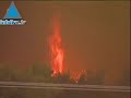 Des sapeurs-pompiers isra�liens combattent les feux en Gr�ce