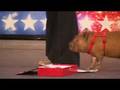 BGT Performing pig - cute widescreen 16:9