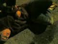 Gabito Triciclo