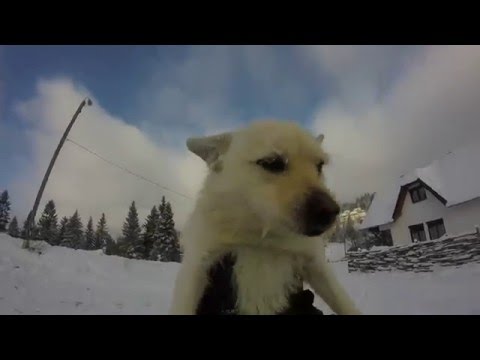 Катание на лыжах, Тысовец