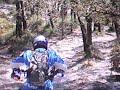 motorbikes
