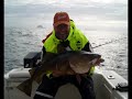 Cod-and-Coalfishing-