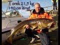 Cod-and-Coalfishing-