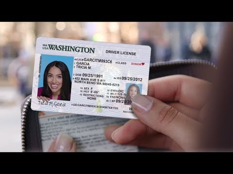 wa drivers license check wa drivers license check