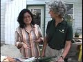 Summer Asian Vegetables