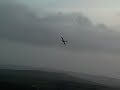 Dad flying 3