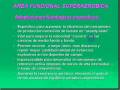 videos de Entrenamiento aerobico Bases Biologicas 10