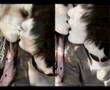 ~emolove~