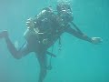 Sung Dive.MOV Sung Dive.MOV