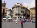 I nominati di Zanotto abbandonano enti e palazzo Barbieri?