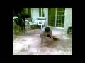 bp bboying