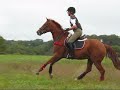 Woody takes on his first XC fences