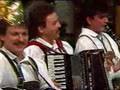 Geschwandtner Buam mit Vroni - Osterreichisches Potpourri