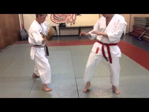 how to side snap kick