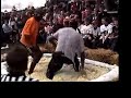 sauerkraut wrestling sauerkraut wrestling