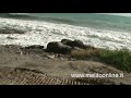 Mare a Melito di Porto Salvo