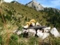 Fungolandia, funghi porcini in alta val Brembana