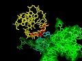 Finding the Ribosome