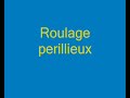 Pilotage en immersion/ Promenade en Fieseler Storch
