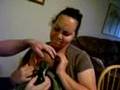Zachary-s-First-Hair
