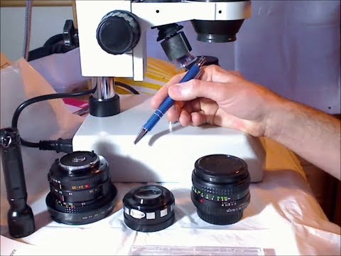 how to kill fungus lens