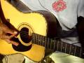 Brasilian Rosewood Dreadnaught
