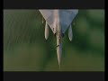 Into the fire - Thirteen Senses - Les chevaliers du ciel