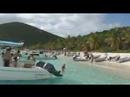 Palm Tree TV with ON-ST.JOHN