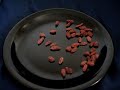Goji Berries Super Antioxidant