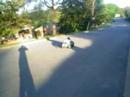 wagon riding