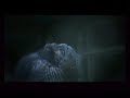 ゼルダの伝説　トワイライトプリンセス動画