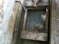 Fossil Sluicing