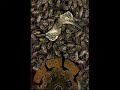 naturalezas muertas y podridas  1996/1998 