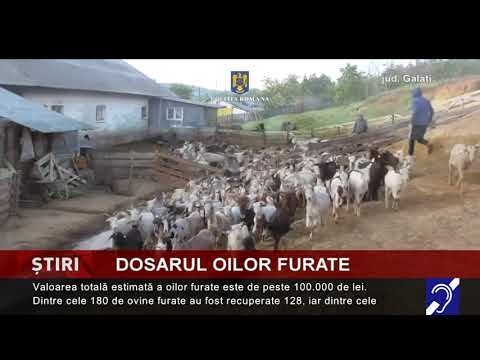 Dosarul oilor furate